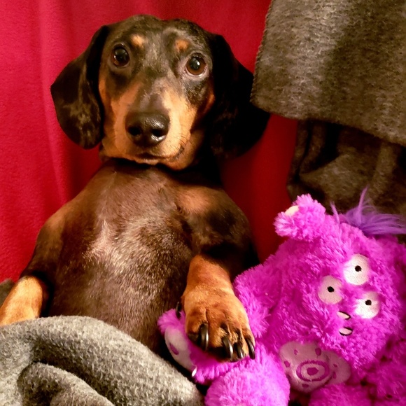 Meet your Posher, Brian - Picture 2 of 2